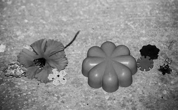 Autosave-File vom d-lab2/3 der AgfaPhoto GmbH