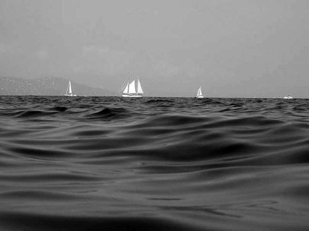 IMG_1539_zps2c85fe48