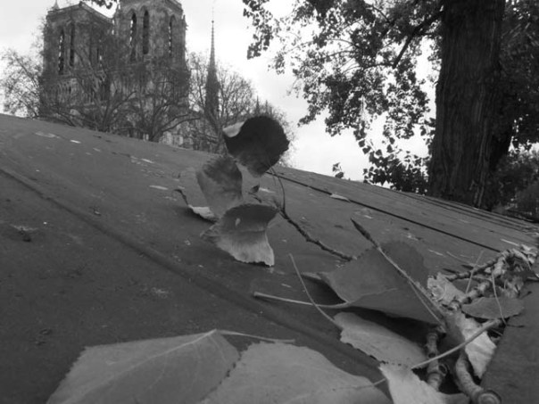 IMG_1705black and white