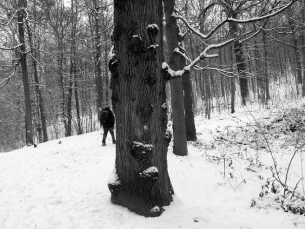 IMG_2039izm_zpscba46b0f