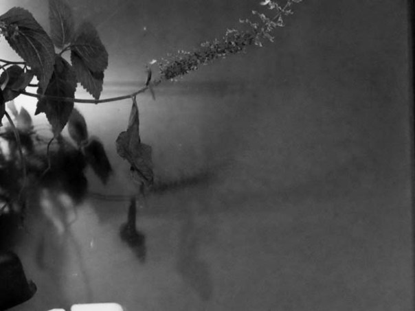 IMG_7727 пустое место