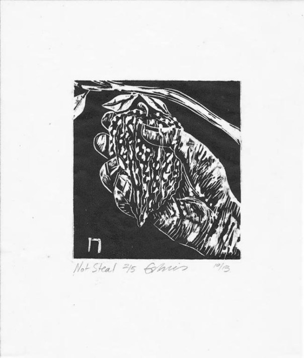 10177452_10152420230438436_6611401331106519783_n-s