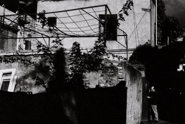 251297_10151181858841698_886419541_n