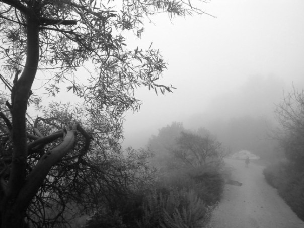 05-%d1%82%d1%83%d0%bc%d0%b0%d0%bd