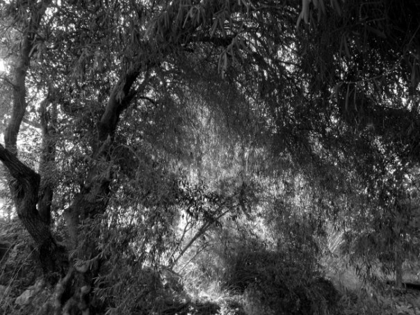 08-%d1%81%d0%b2%d0%b5%d1%82