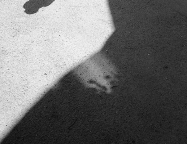 15645511_1225526184205276_2087668165_n