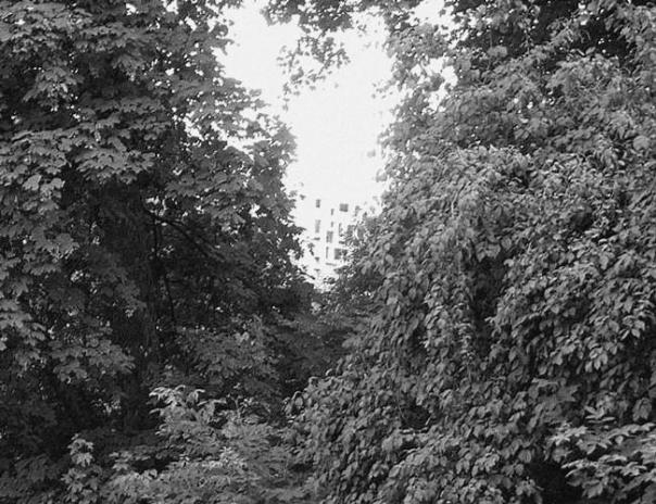 15673163_1225526190871942_1566466705_n