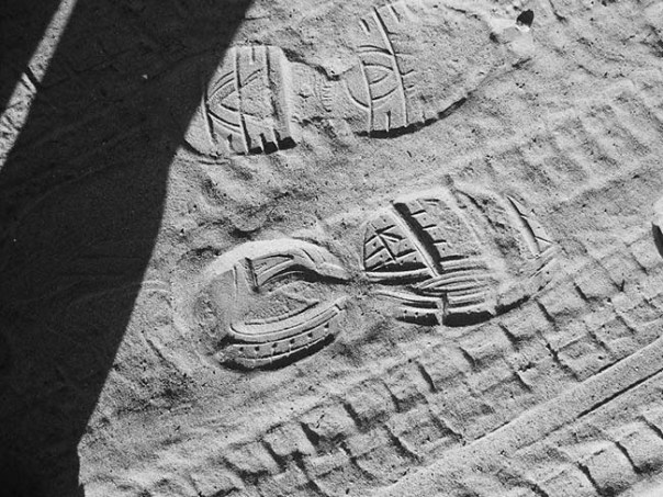 543662_109390412591803_1348079504_n