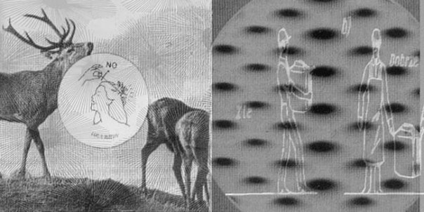 муштатов_2227.3_17_11.3 (2)s