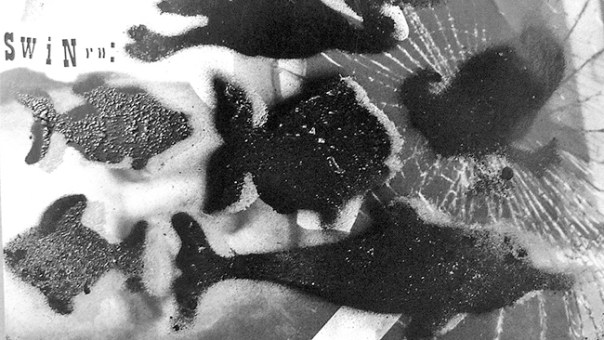 Learn to Swim. Photo Dmitry Sumarokov. Bolderajas Grupa mail art project, 2009 (13).jpg