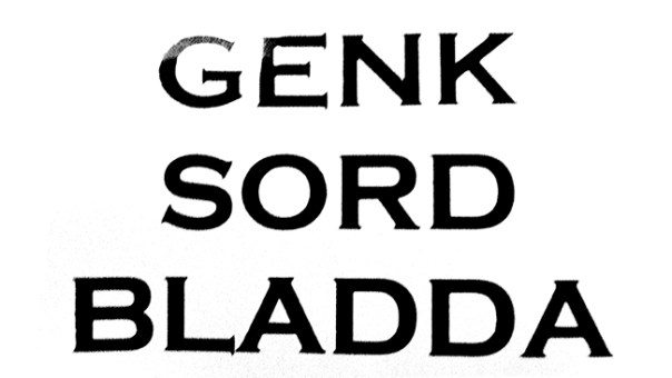 Learn to Swim. Photo Dmitry Sumarokov. Bolderajas Grupa mail art project, 2009 (5).jpg