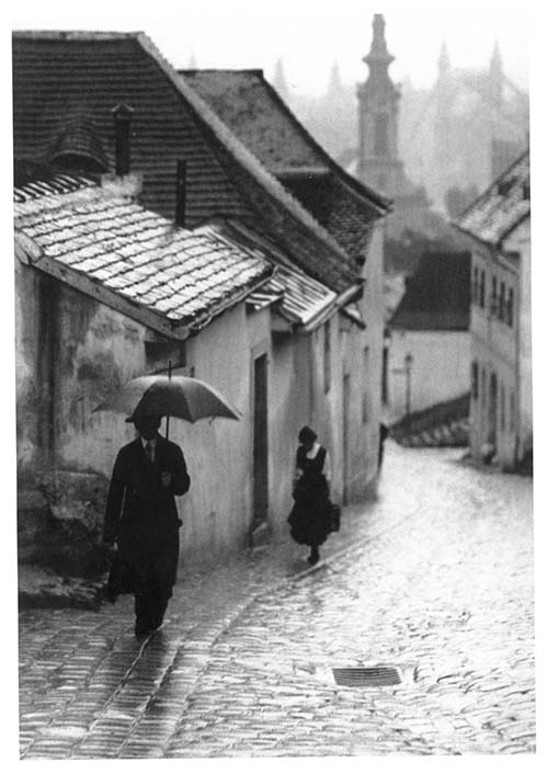 Елена Фанайлова-s