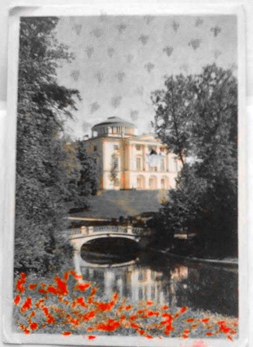 Israel Rabinovich (11).jpg