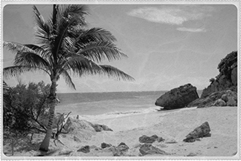 Margaret Atwood Postcard