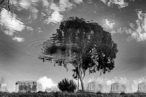 Tel Aviv, Yarkon river