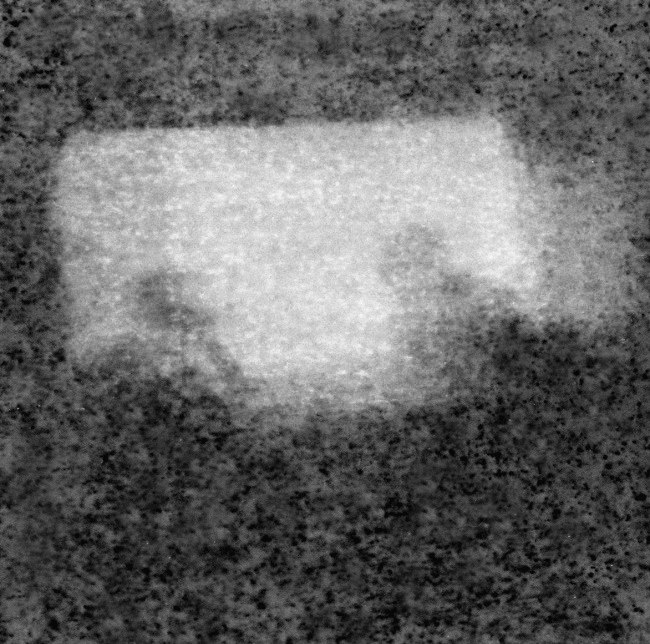 48384339_2428990373796529_6351186174609981440_n