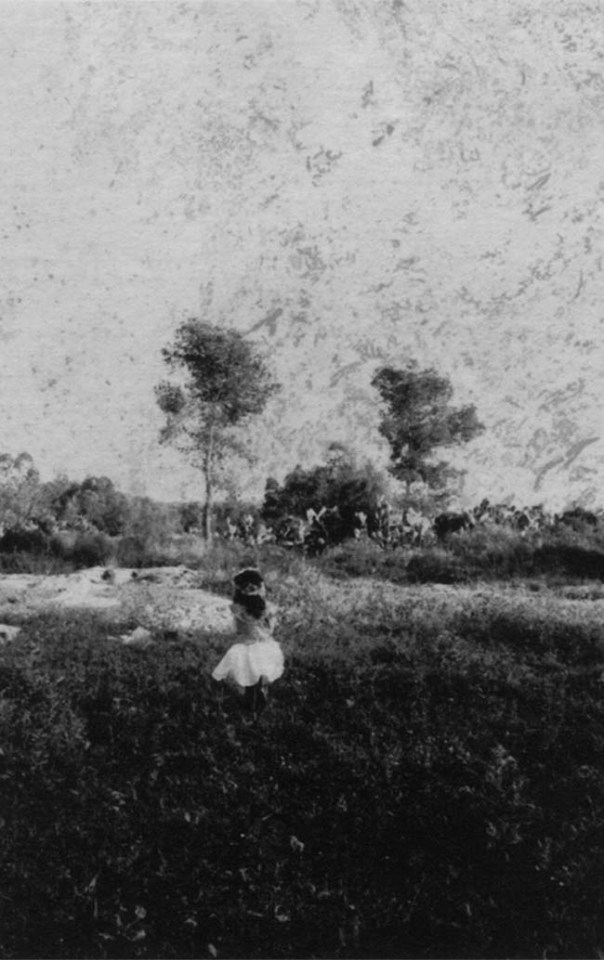 48406638_277212059660851_6075722429831839744_n-s