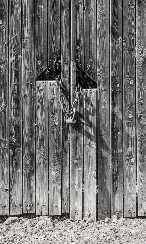 48409116_10156843231747173_5563451067573731328_o