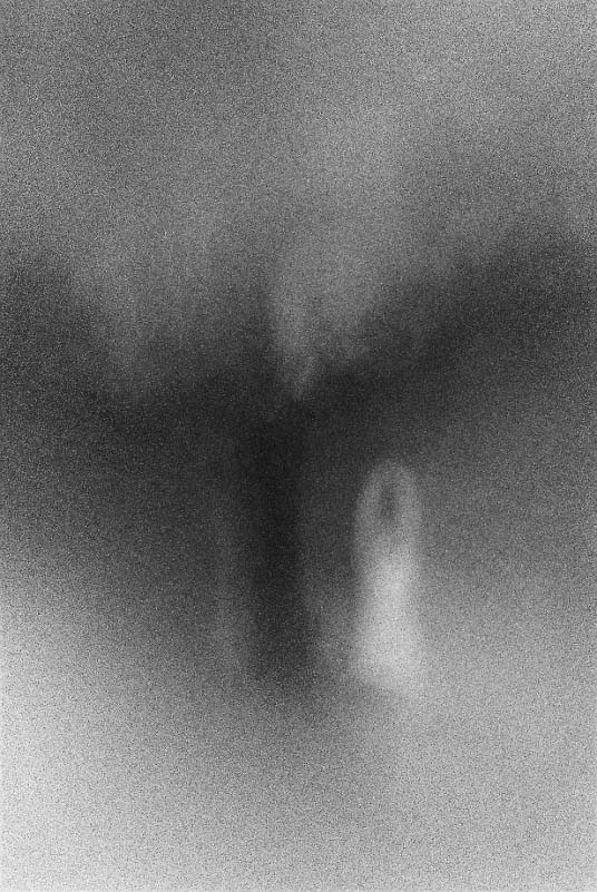 48414951_456477291546763_4615445356056936448_n