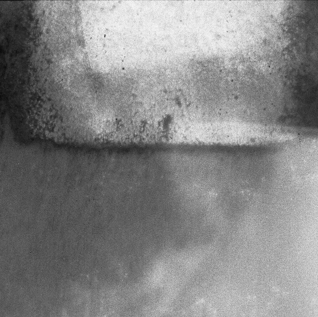 49015725_345563596255015_2276247643707408384_n