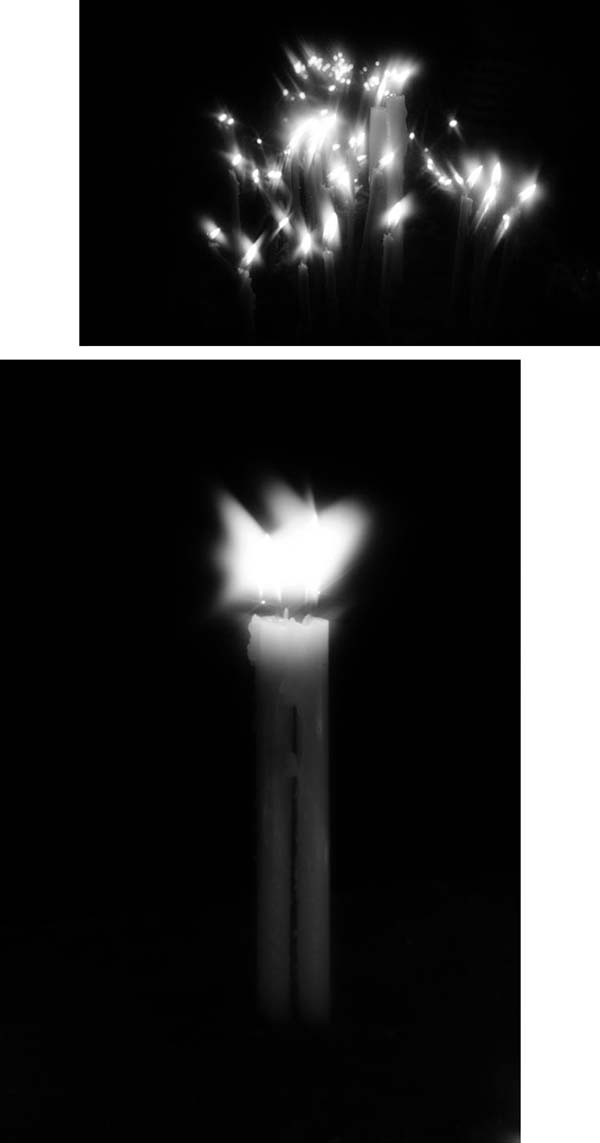 Таня Сушенкова2s