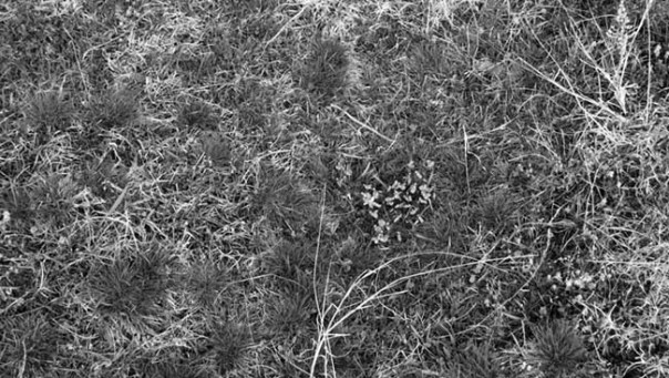 Юрий Гудумак-Одиннадцать_слов_для_холода(2)s