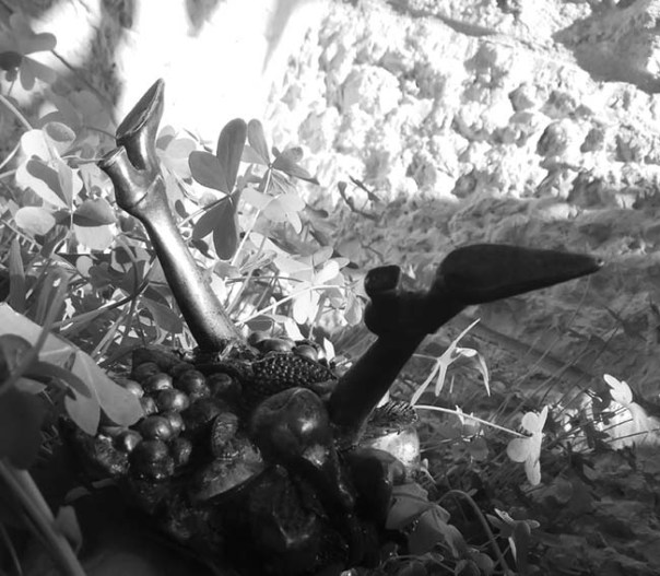 IMG_20181226_183414s