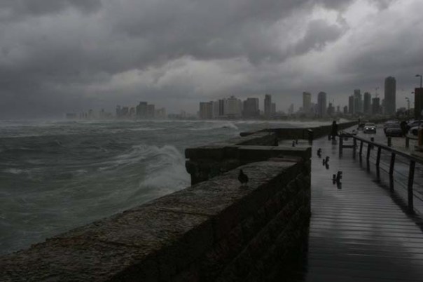 10520826_10203699881282281_5460270281379513697_o