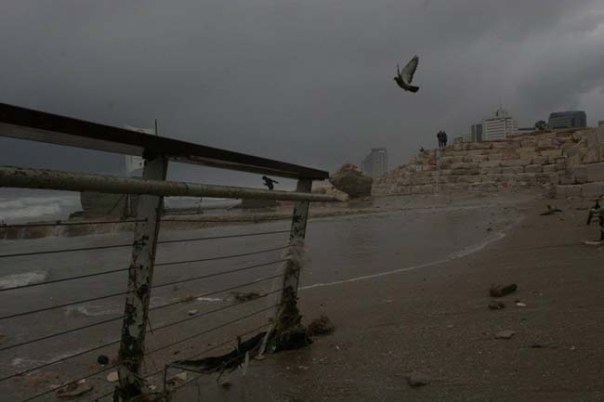 10900171_10203699877882196_7309598322563140310_o