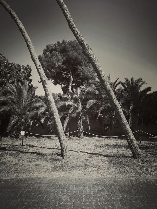 78658104_10215524263567772_6741307765026717696_o