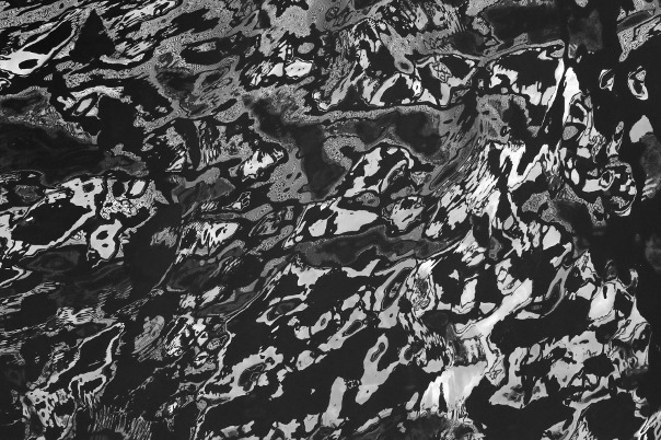 80993476_1022149614809326_8790756070076186624_n