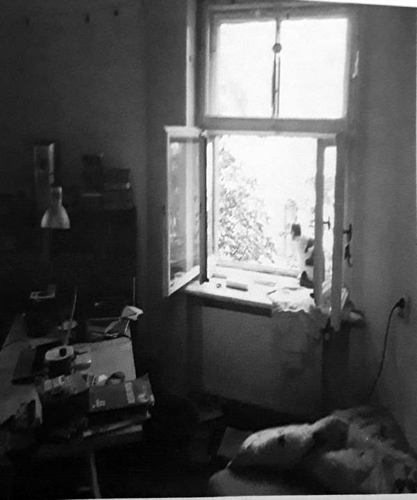 Stephen Ellis-p62-Morning Window